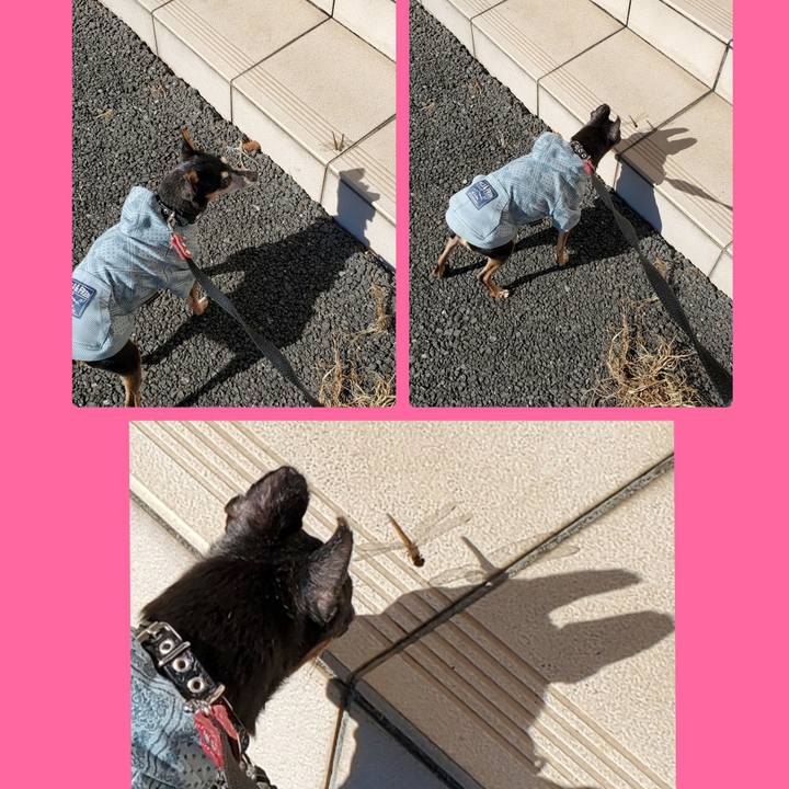 28c45fed f792 4602 87dd b00e3f1763d9 1667011440525