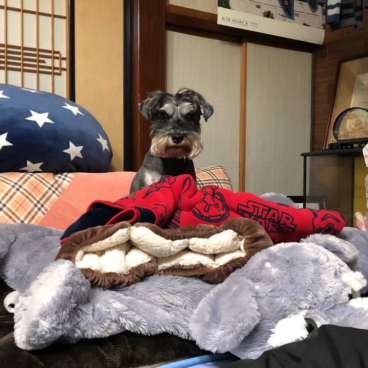 28c46058 2728 4357 9cc6 abbcfce16c12 1614172335611