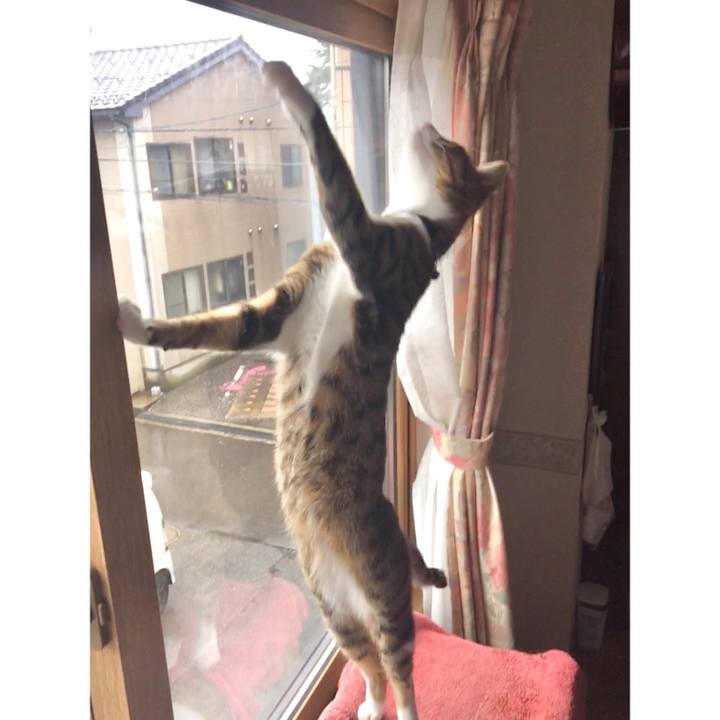 28c49e26 d7fd 47d0 adee 24136c2bc903 1684541765537