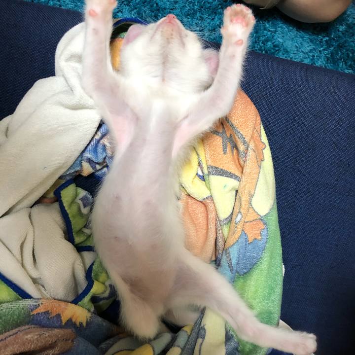 28c4cce3 d2b7 47a4 b6dd 5de2e310a72d 1592913835806