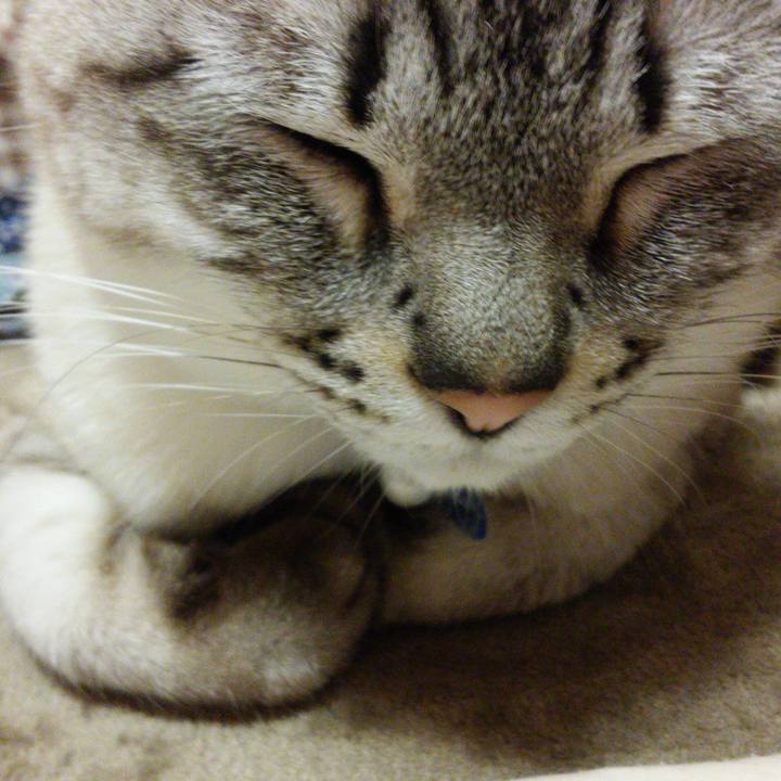 28c4d2e9 c165 44f7 b652 fa263a20cae3 1520768414099