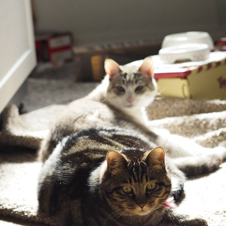 28c500da fc17 42f4 8fe1 4763d076eb9a 1622433057654