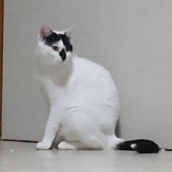 28c50c73 49c0 447b bc4b a119cc9925b2 1532970153441