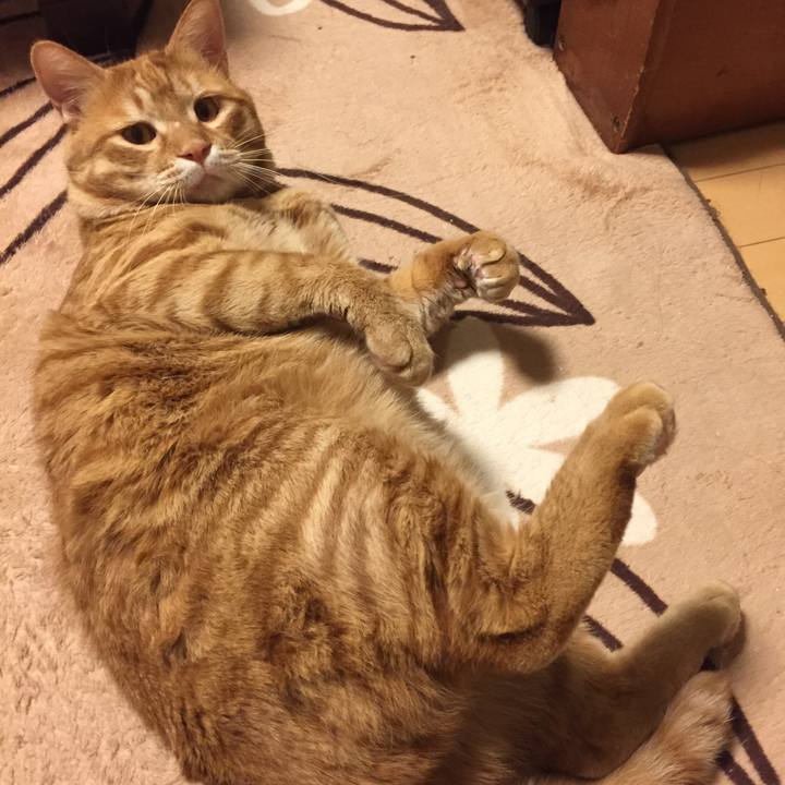 28c53182 0710 4d18 be0c 91aef2313184 1550843709284