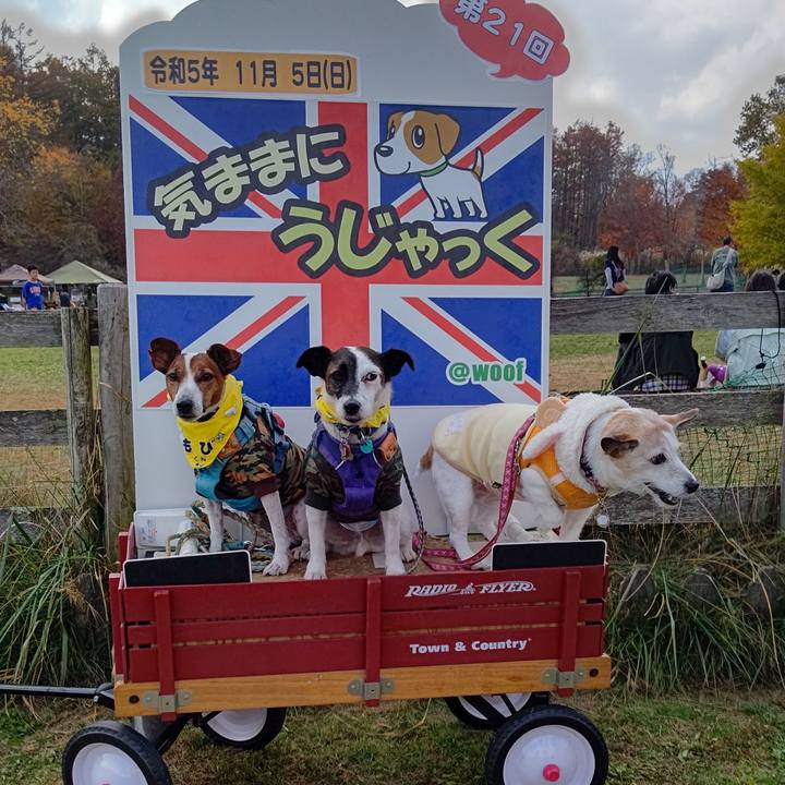 28c540a5 6714 498a 9e31 cd83d66e3d3f 1699187214308