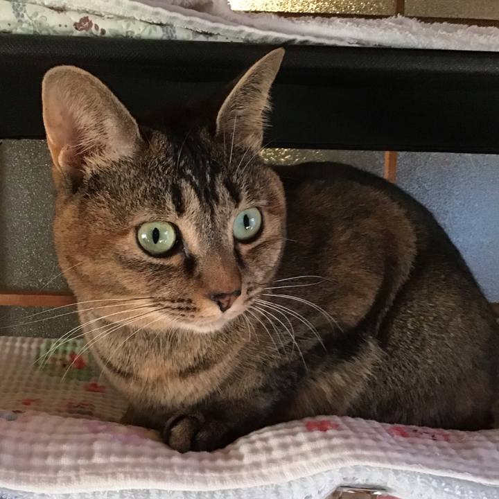 28c5629a cc80 42c6 b671 e5f68d8466ec 1635579322538