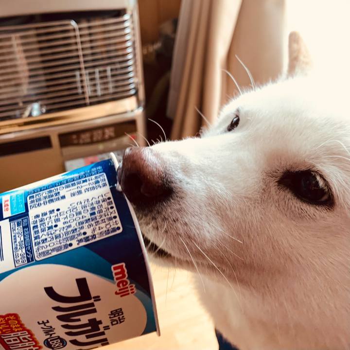 28c579d1 3c26 4393 94fa 574f27f1682f 1646455255665