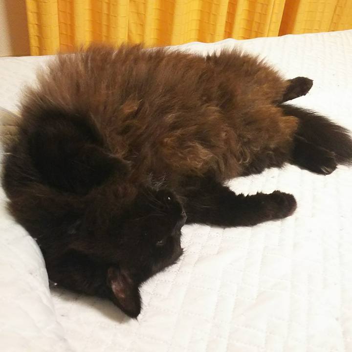 28c59b4b 8dce 4f2c b1c8 0fe6f62405f7 1534601784552