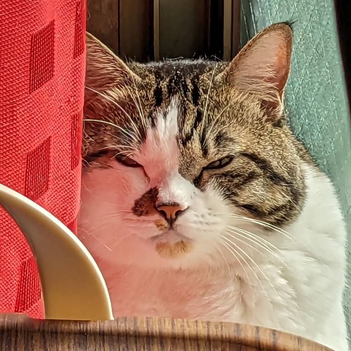 28c59e8e 161a 4490 b097 7d1f79389252 1695517298578