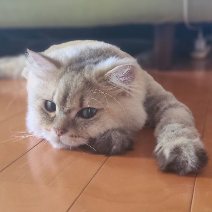 28c5dcaf ed3a 4b0c a0f3 549b125e87f5 1689663811782