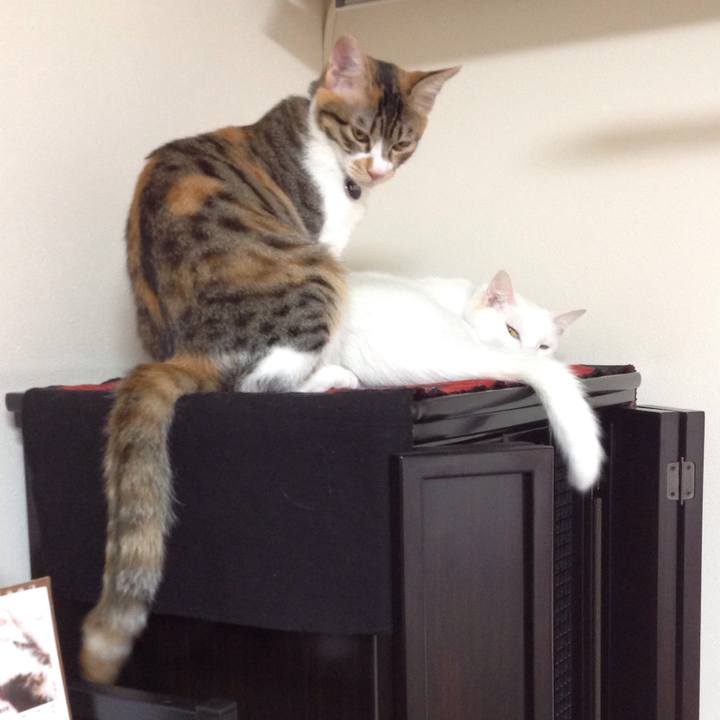 28c61ebd afea 4538 8010 9150583bb069 1639090496389