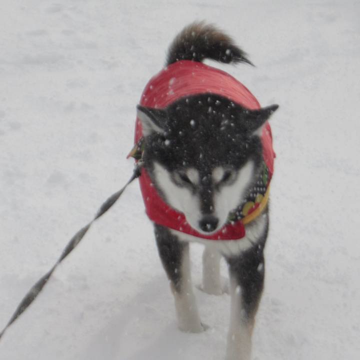 28c62567 30c1 4e7e b1c0 7a1b7122ed26 1674616101296