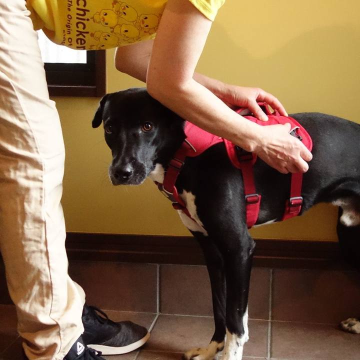 28c63af3 4ac3 40ce 8150 593563aea202 1591144637811