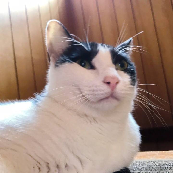 28c65ae7 a9c9 411e a55b 9456b7d3f8e6 1508907386469