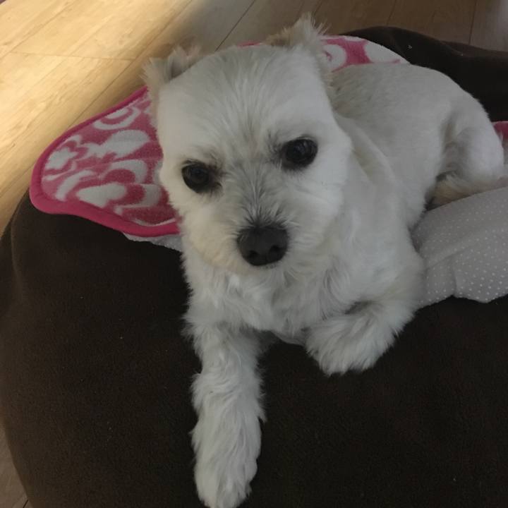 28c68a2b c965 45e6 a878 534600b23a6a 1547723633739