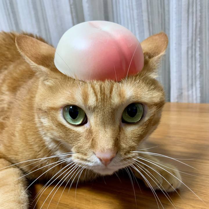 28c6aeb7 1c02 4908 b08b 6a4da882c517 1628511265068