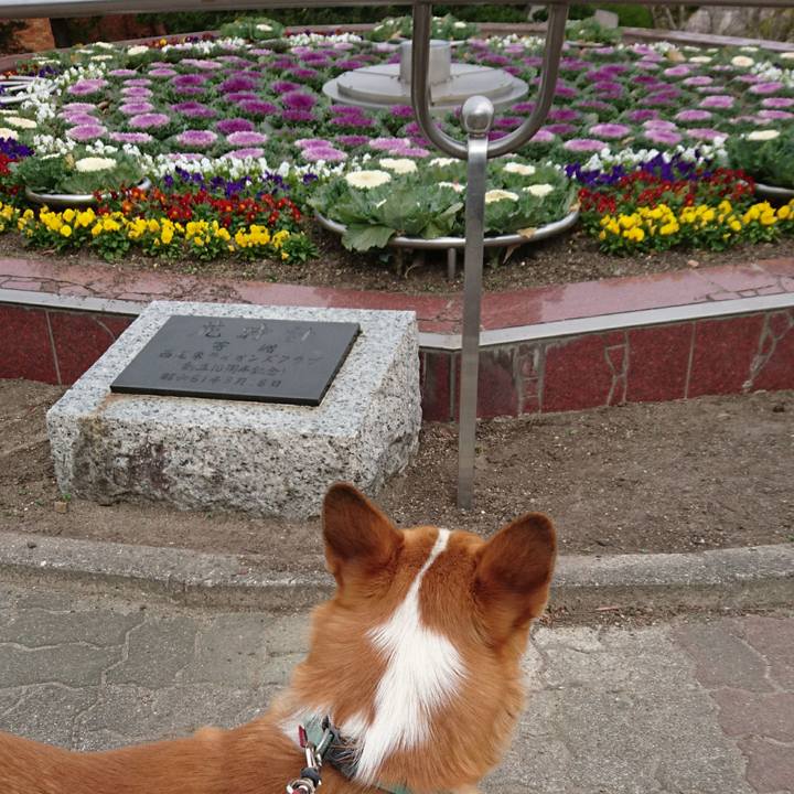 28c6ff4f 839a 4097 88d1 6ea5e59a553a 1606286244223