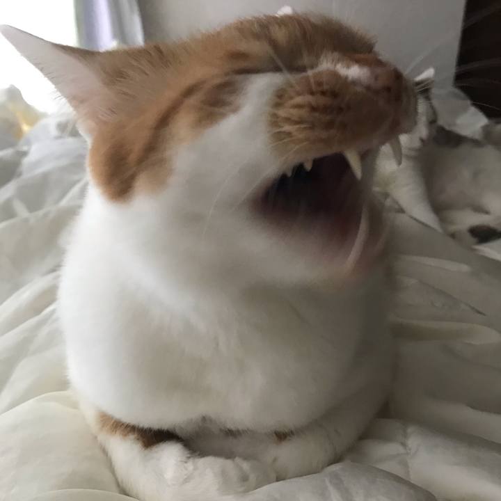 28c70f8f 998f 4182 b0e9 8d026c8b0cd3 1606604778234