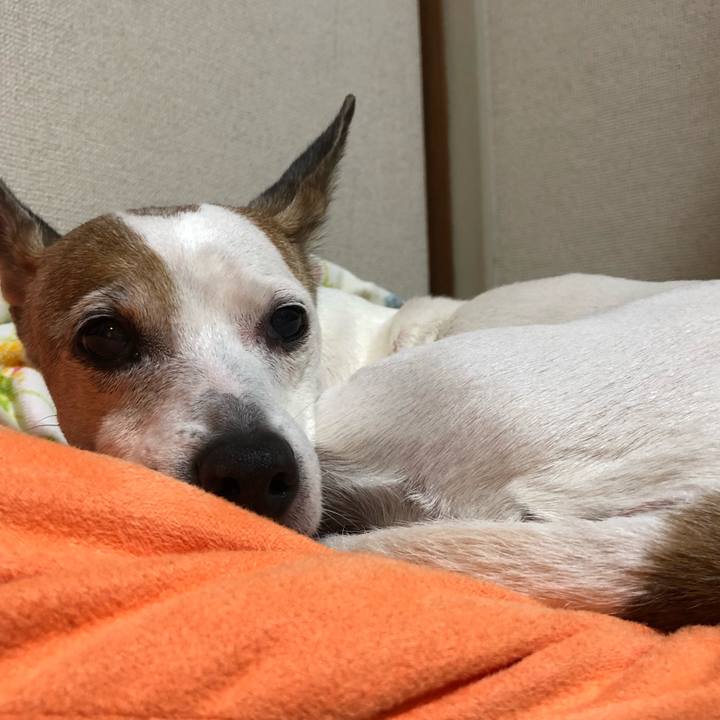 28c7235e d38e 4001 afb6 1c140a8d351e 1582566631504