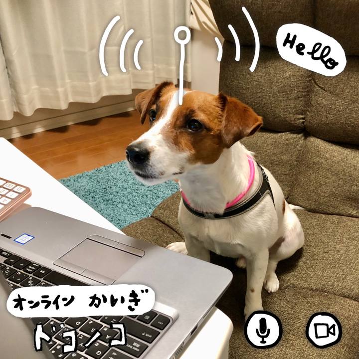 28c72e92 34d3 4bc3 b4f5 9e7d2c01adc8 1590784631680