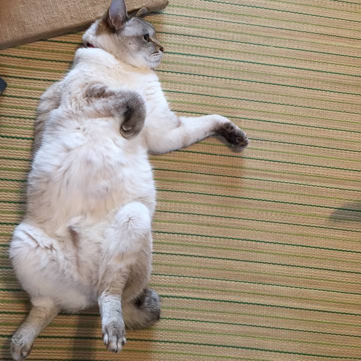 28c75ecb c4fd 4770 bd45 8f70bd7a5f0b 1559782249139