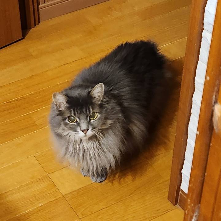 28c7b821 0ebc 46f4 b104 2e8c69bd55fd 1705524355481