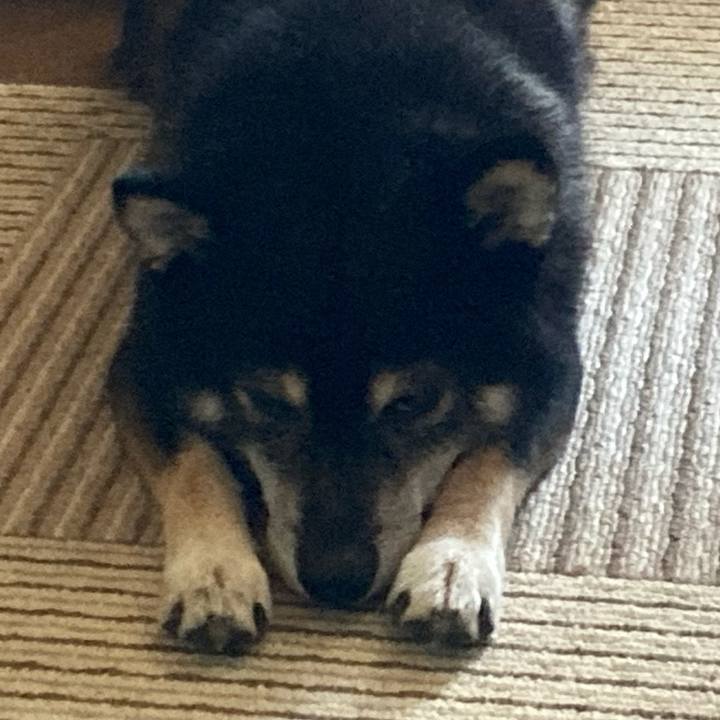 28c7e4a3 2b5c 4c4a 8205 b9839edcd50c 1628215698073