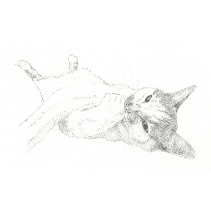 28c7f3f3 7299 44b9 82eb ca2df7850a82 1543150060185