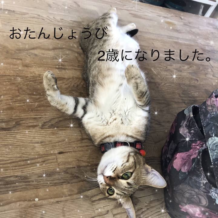 28c7ff1b c8c5 4ae1 9520 4395f68766e8 1625122975010