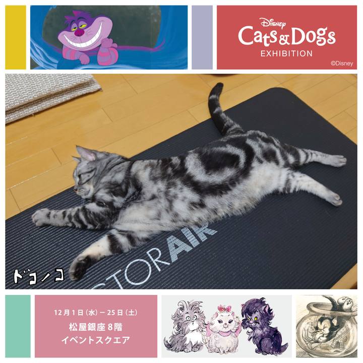 28c812c4 9e98 4553 9119 913b1b64f966 1638449468872