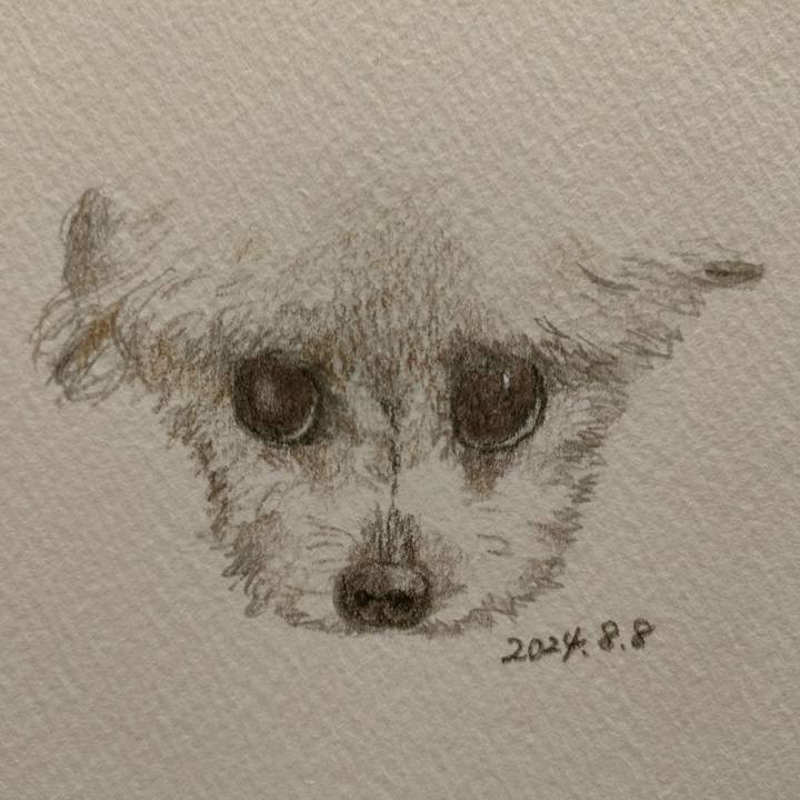 28c84332 3b7a 4ed7 8782 05dbb5b37575 1723128672268