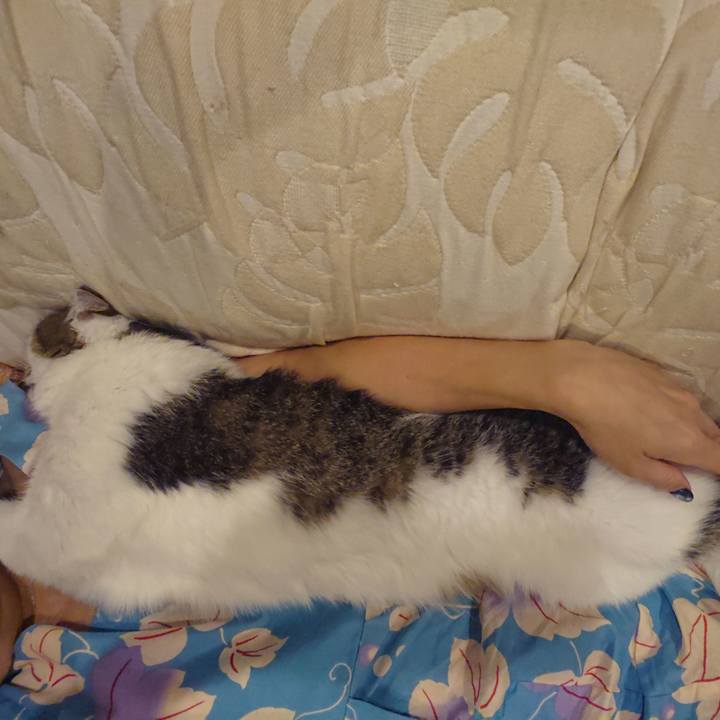 28c84989 a6c7 4323 a5b2 dd961951668a 1628953863618