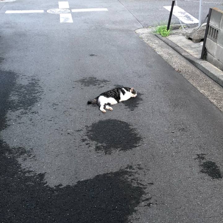 28c872c5 20ed 4399 b165 4e6f829436ec 1532001319842