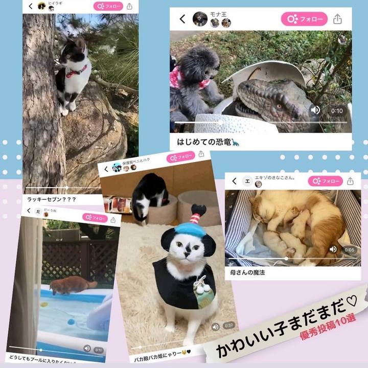 28c8b6ed a7c5 48a1 bfa4 53205d90f373 1649196929108