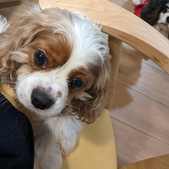 28c8c0a9 2bf8 4354 8bc6 b92f2039cb3c 1673762738290