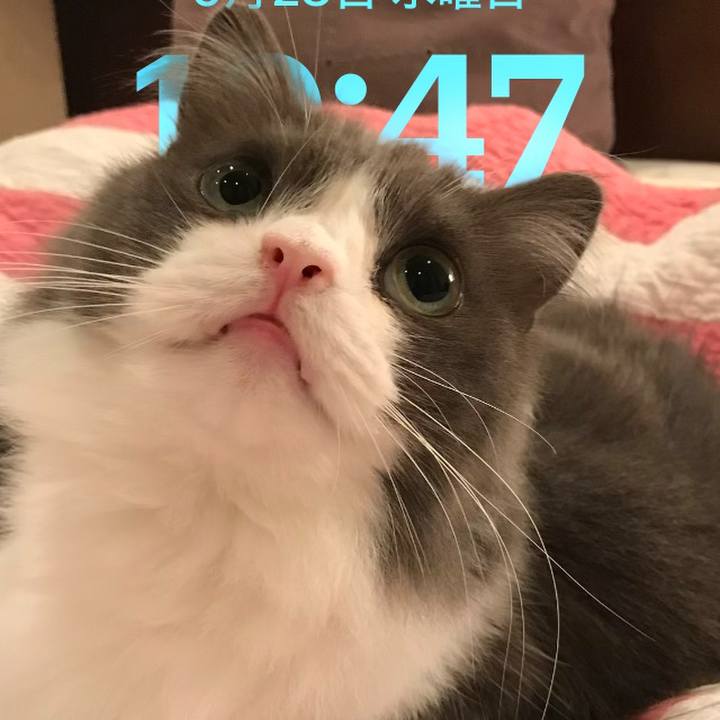 28c8ef57 c644 450b bf7a e8d7017aa694 1769852782572