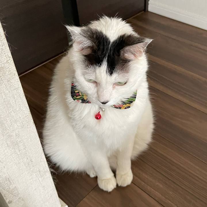 28c92210 c7b1 4af5 828e b823c0c1cba1 1655092826911