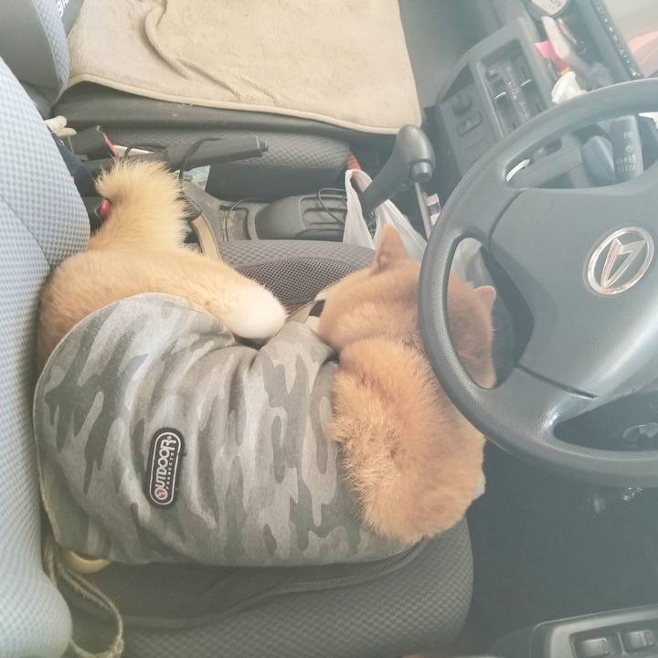 28c9284e 9316 4402 9800 637c462e2d27 1680088423440