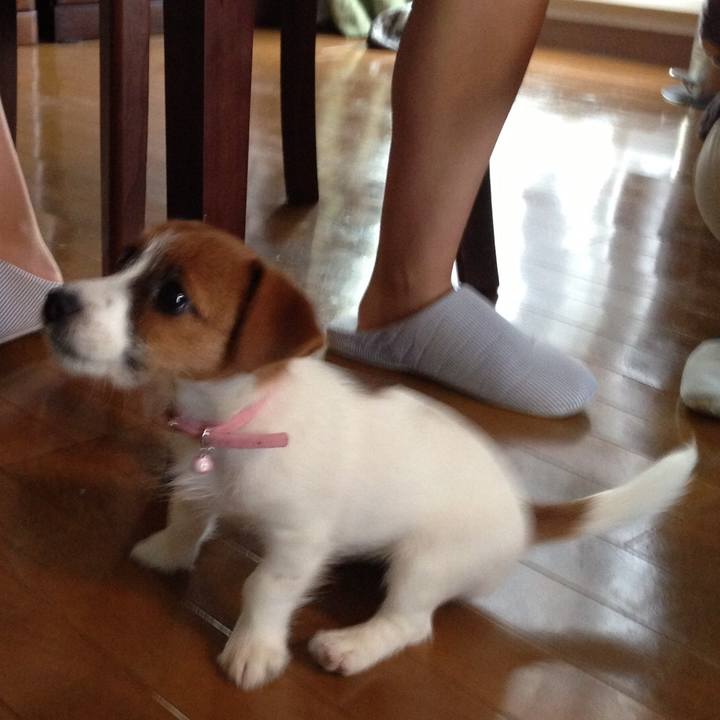 28c93265 2a8a 45fc aa73 fb7502803520 1512124552829