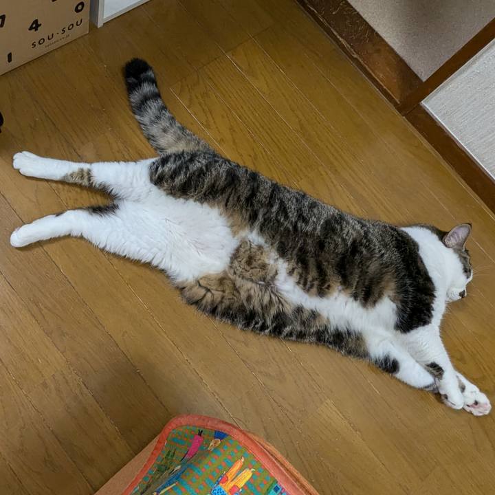 28c95a33 65c8 45cb 92aa a1a987cc7190 1727781479622