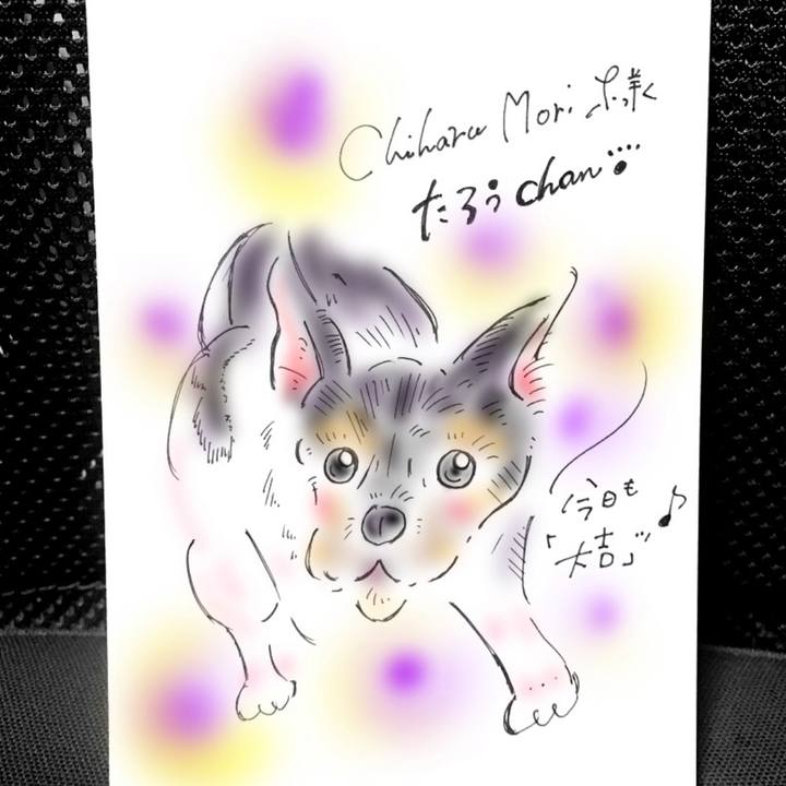 28c97651 0cbc 4f7e ae74 ed304d6a704c 1569207489875