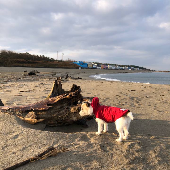 28c98cfc 9a56 4cb2 8577 c37aeeeb33d8 1607641193119