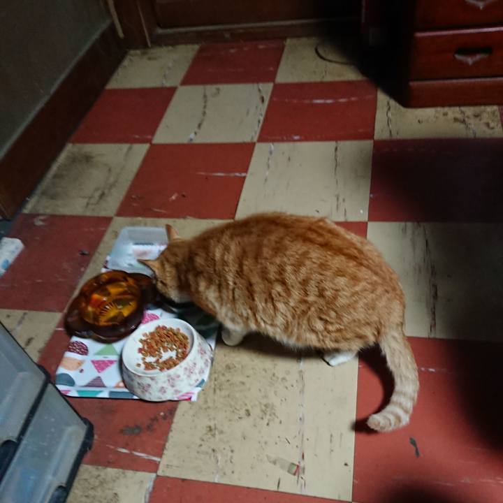 28c9b24d 17dc 4408 b8b4 b0fbdf35f05f 1586894226700