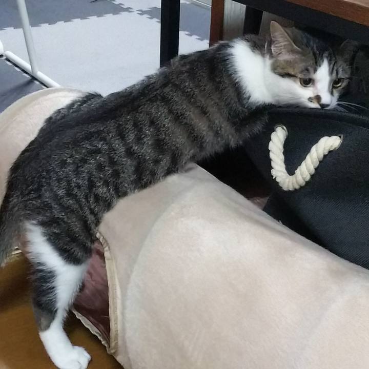 28c9bdf6 7e5f 444d 9ccf 622111ce5a82 1613484668210