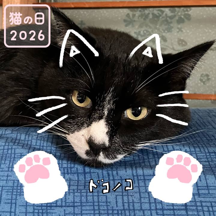 28c9c77f c534 46c5 925e e12cd5386983 1771721698783