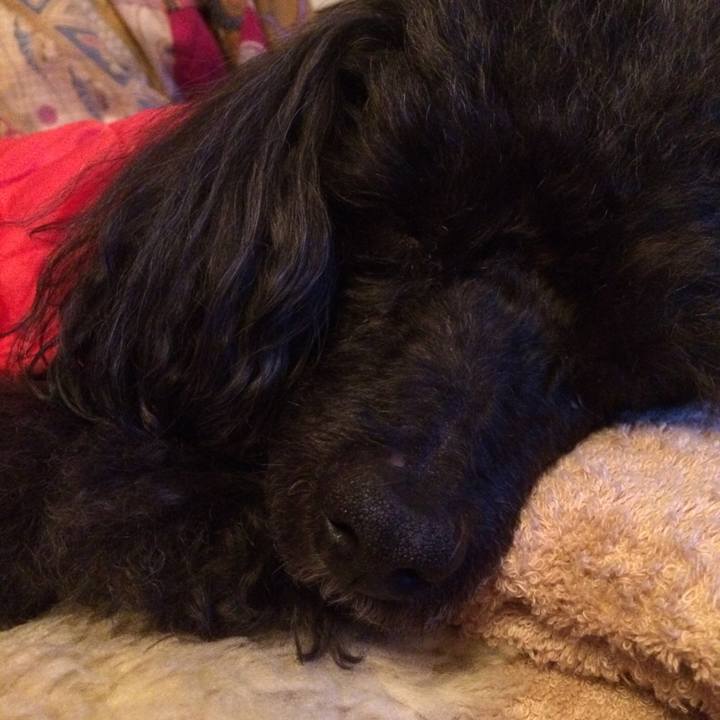 28c9d92a d626 429e bab6 4edb3b0606f5 1518365037825