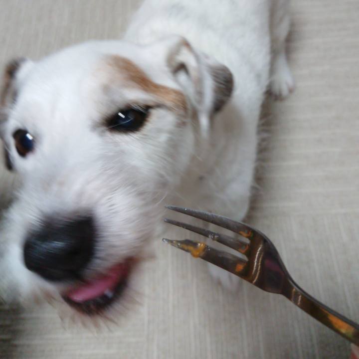 28ca1880 4a28 48e8 99da a3c12ffaa177 1563319157185