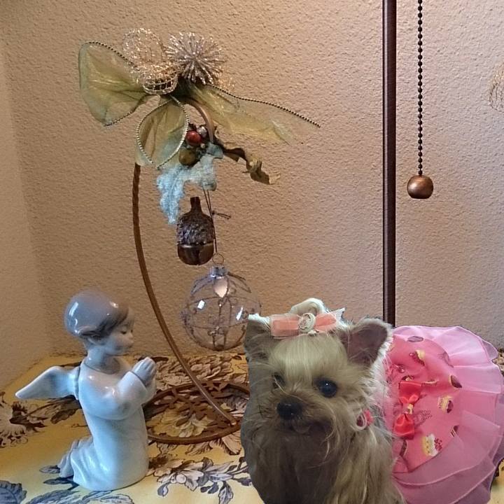 28ca582b c8c4 4461 a926 6fc053bdd4ee 1703378399528