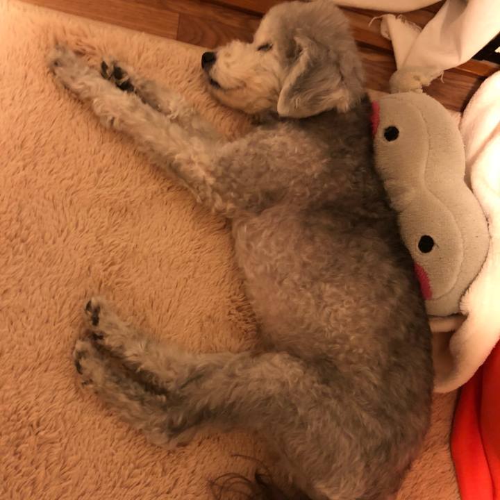 28ca7ea1 425a 4174 8d1c fe52f6dafe90 1560045057488