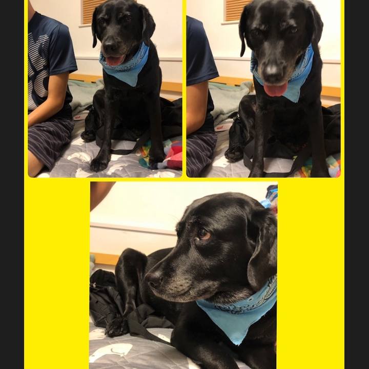 28caa9f5 1027 40b2 82a5 d6c0a4834f24 1567217197710